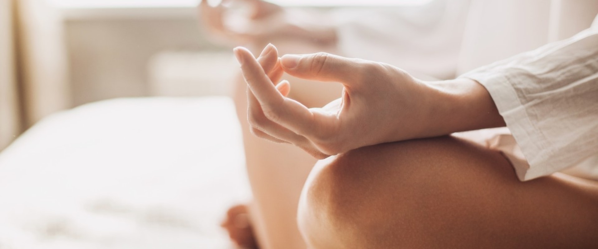 What is a holistic practitioner called?