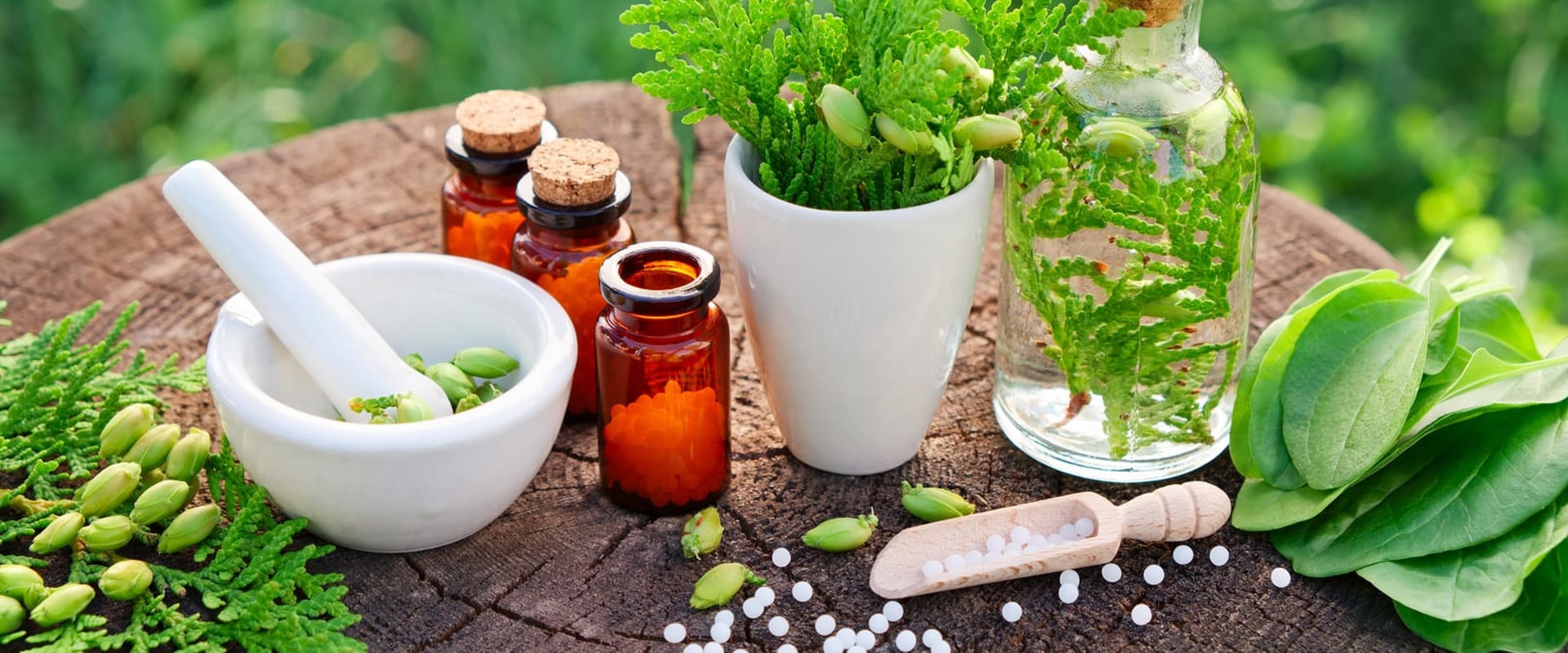 Where holistic medicine?