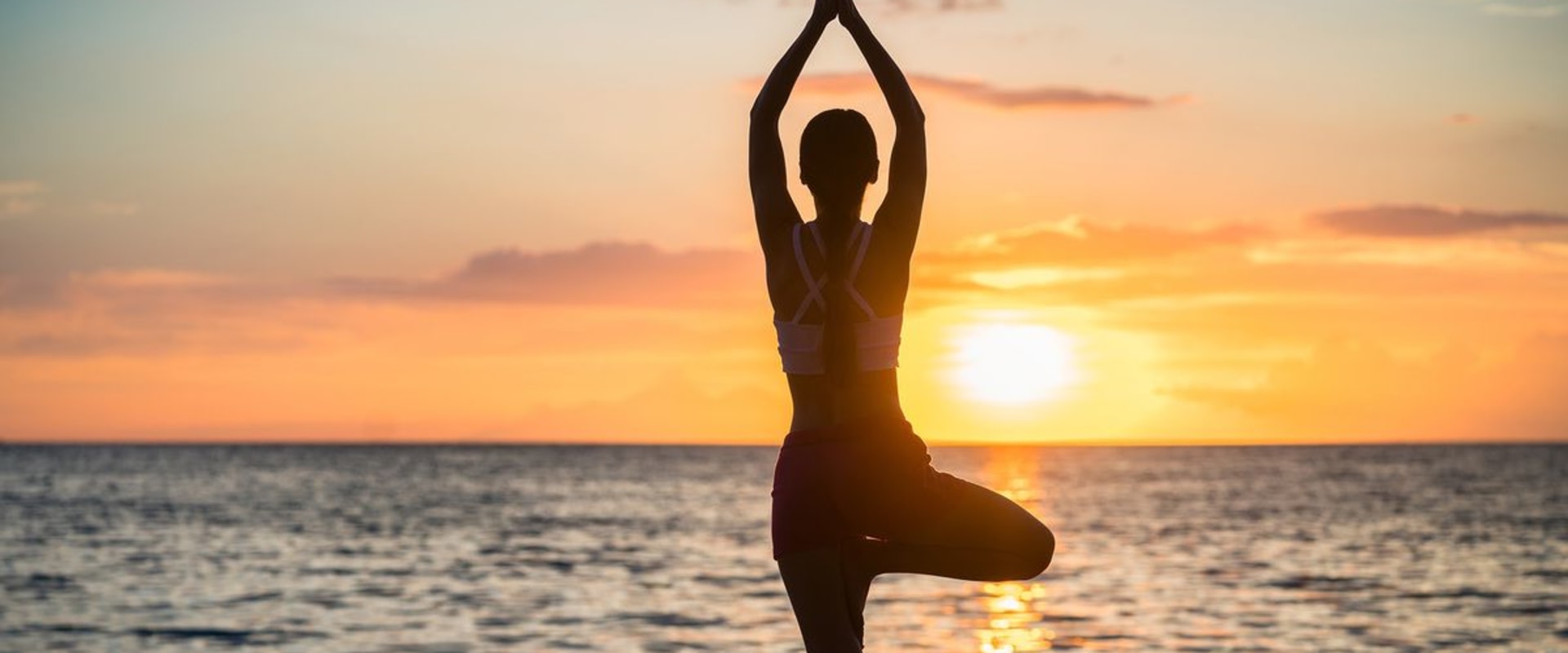 What are the 3 dimensions of holistic health?