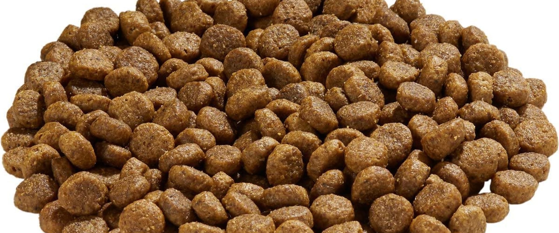 Is holistic health extension dog food good?