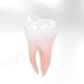 Holistic Health in Dentistry: A Guide by Zahnarzt Kilchberg