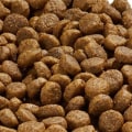 Is holistic health extension dog food good?