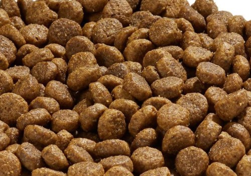 Is holistic health extension dog food good?