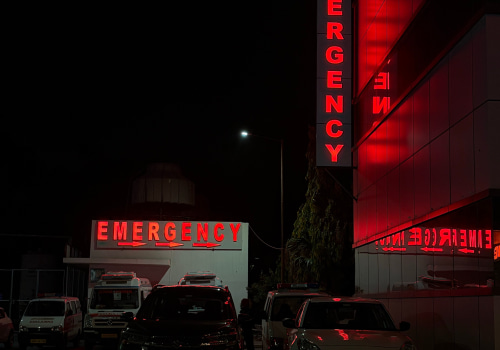 Holistic Health & Emergency Room Services in Frandor
